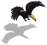Tully le Toucan.png